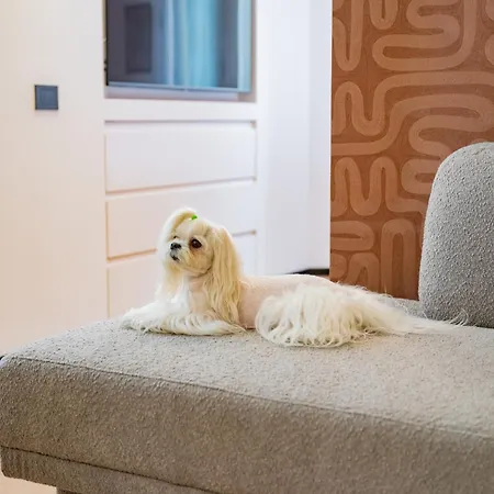 Vico Del Pozzo Luxury Appartement *